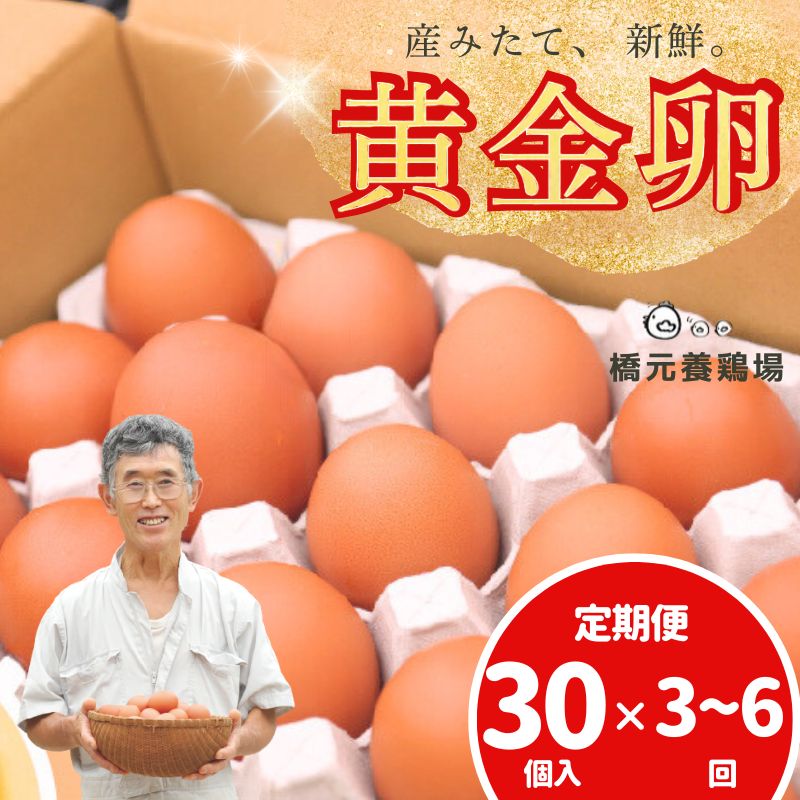 二黄卵 aubless023-024_s1.jpg