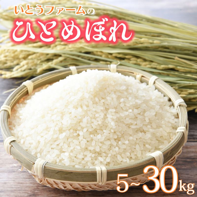 【ふるさと納税】☆総合ランキングイン☆ ≪新米予約≫ いとうファームの 令和8年産 ひとめぼれ 5~30kg ＆ うれしい定期便 選べる容量 | 定期便 米 お米 こめ 白米 ご飯 ライス ひとめぼれ 産地直送 数量限定 ブランド米 送料無料 ※2026年10月下旬より順次発送予定｜宮城県涌谷町