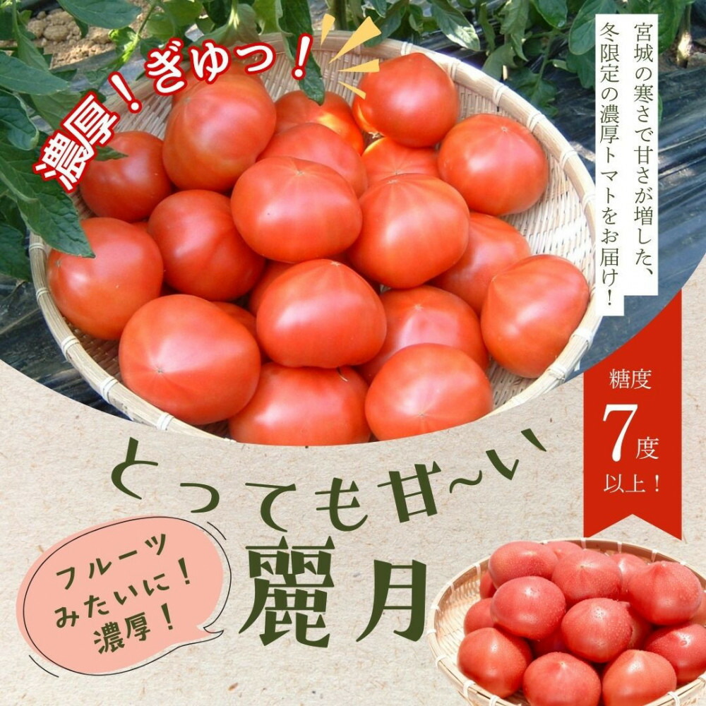 楽天市場】【ふるさと納税】 うるつやトマト糖度8 ／ とまと 野菜 高