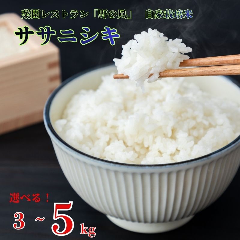 【ふるさと納税】米 菜園レストラン「野の風」自家栽培米 ササニシキ3kg or 5kg 令和7年産