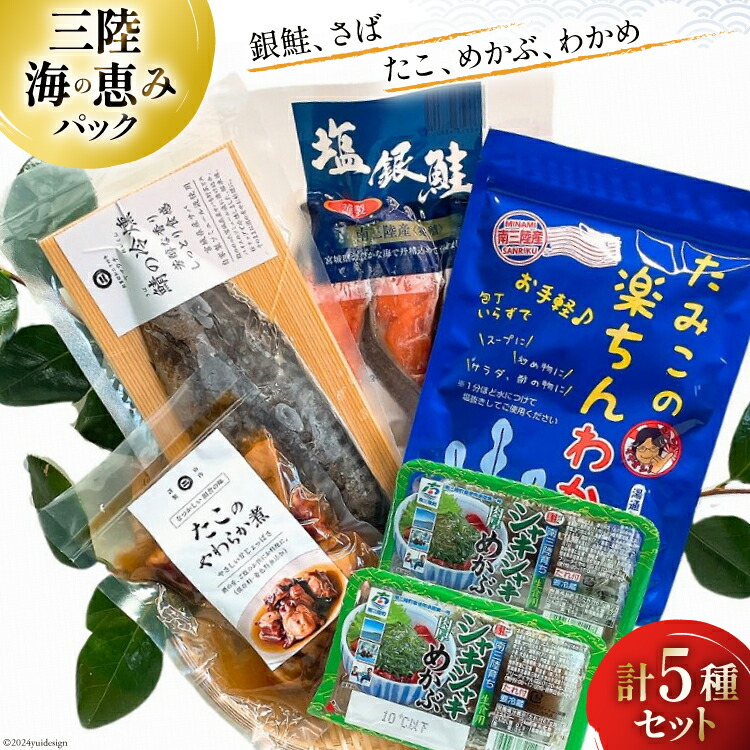 【ふるさと納税】 海鮮 詰め合わせ 三陸 海の恵み 5種 セット [たみこの海パック 宮城県 南三陸町 30ae0033] 海鮮セット 魚介 魚介類 魚 海藻 藻 鮭 銀鮭 しゃけ 酒 さけ サバ 鯖 さば たこ わかめ めかぶ
