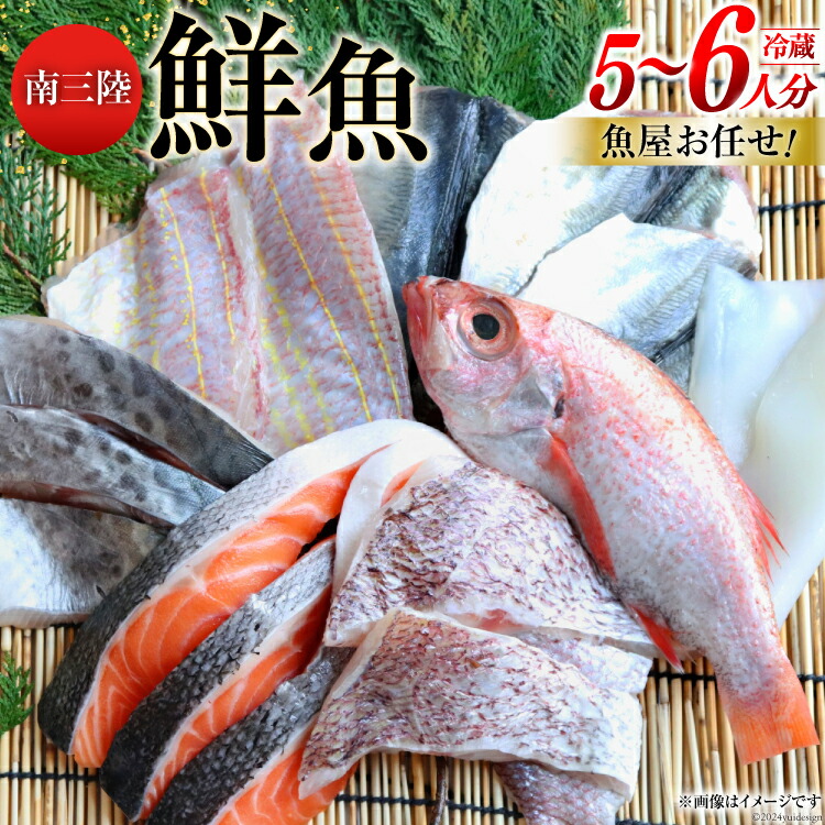 【ふるさと納税】 鮮魚 詰め合わせ 魚屋お任せ！南三陸お楽しみ鮮魚 セット 5～6人分 [さかなのみうら 宮城県 南三陸町 30aj0002] 魚 タコ 牡蠣 ほや ホタテ 塩辛 佃煮 切り身