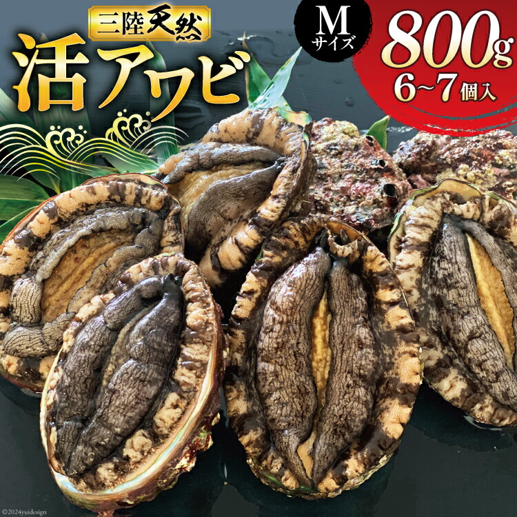 【ふるさと納税】 【期間限定発送】 海鮮 魚介 三陸 天然 活 アワビ Mサイズ 800g(6～7個入) [マルヤ五洋水産 宮城県 南三陸町 30al0010] 魚介類 あわび 鮑 天然 蝦夷あわび 貝 冷蔵 刺身 刺し身 活き ステーキ