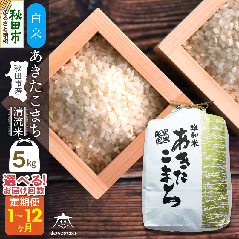 【ふるさと納税】あきたこまち 清流米 5kg 秋田市雄和産【白米】【選べるお届け回数(1回～定期便) 】 [秋田県産 あきたこまち お米 精米]｜秋田県秋田市