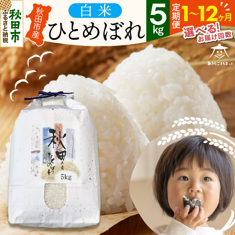 ふるさと納税】ひとめぼれ 5kg 秋田市産【白米】【選べるお届け回数(1