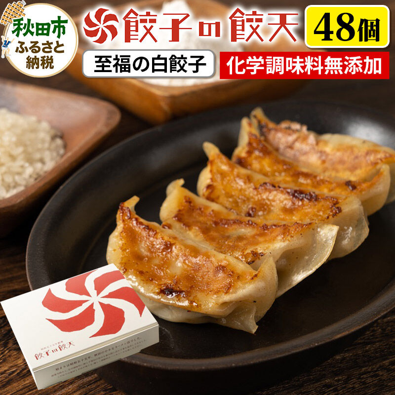 【ふるさと納税】至福の白餃子 48個詰合せ 餃子の餃天 化学調味料無添加|秋田県秋田市