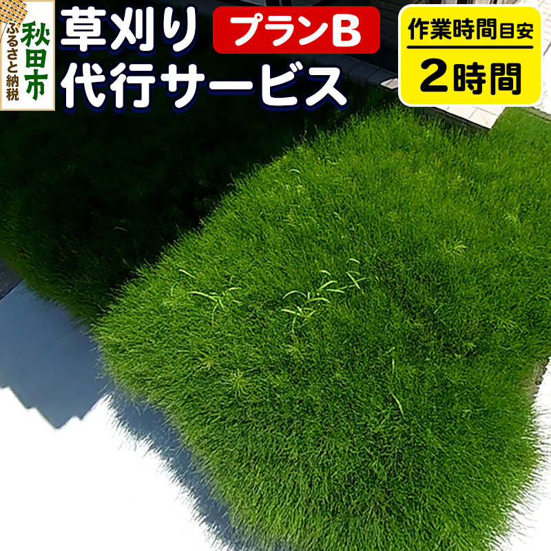 【ふるさと納税】草刈代行サービス プランB(作業目安：2時間) リモートで楽々メンテナンス！【秋田県秋田市】｜秋田県秋田市 34,450円