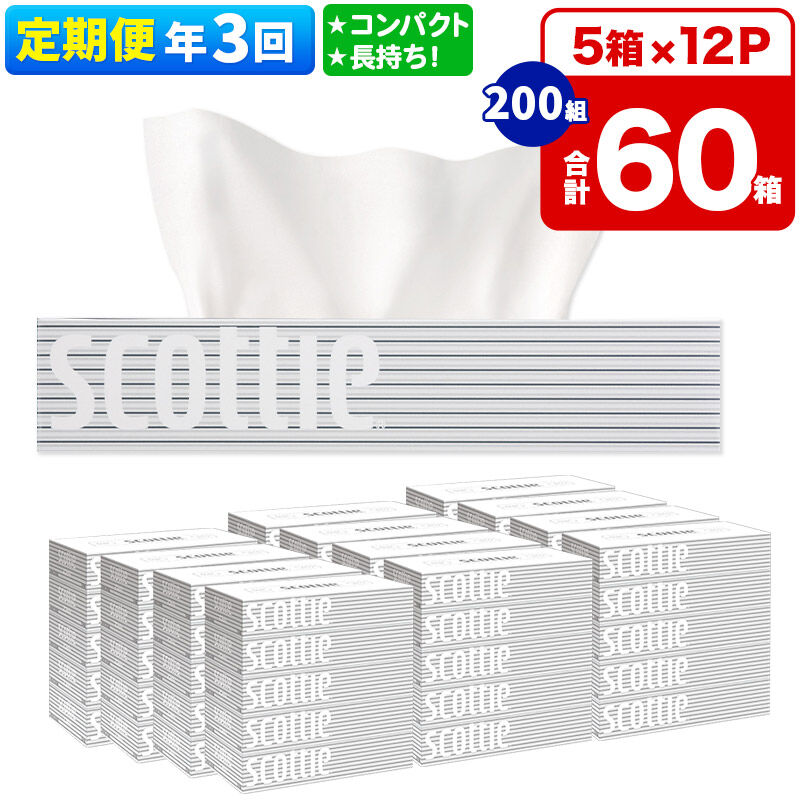 【ふるさと納税】《4ヶ月ごとに3回お届け》定期便 ティッシュペーパー スコッティ 200組 60箱(5箱×12パック) ティッシュ [ティッシュ ボックスティッシュ 定期便]