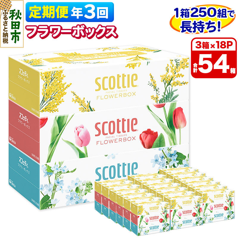 【ふるさと納税】《4ヶ月ごとに3回お届け》定期便 ティッシュペーパー スコッティ フラワーボックス250組 54箱(3箱×18パック) [ティッシュ ボックスティッシュ 定期便]