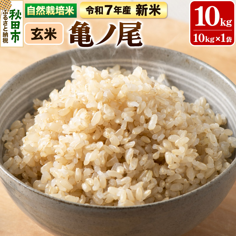 【ふるさと納税】〈先行予約 令和7年産 新米〉自然栽培米「亀ノ尾」玄米10kg 天日干し 農薬・肥料不使用