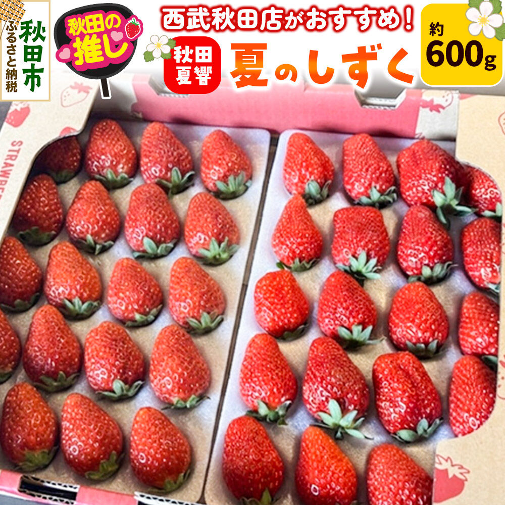 楽天ふるさと納税 第79位の商品画像