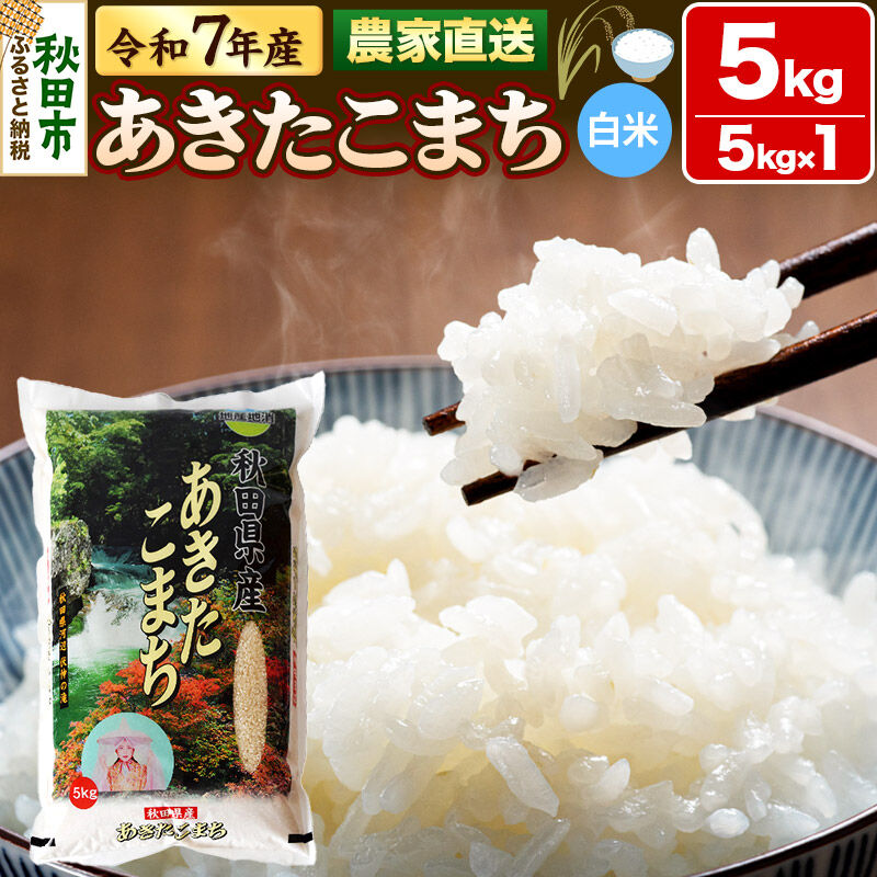 【ふるさと納税】米 あきたこまち 5kg 令和7年産 白米 田口商店 農家直送 秋田県産 [米 あきたこまち 白米 秋田県産]｜秋田県秋田市