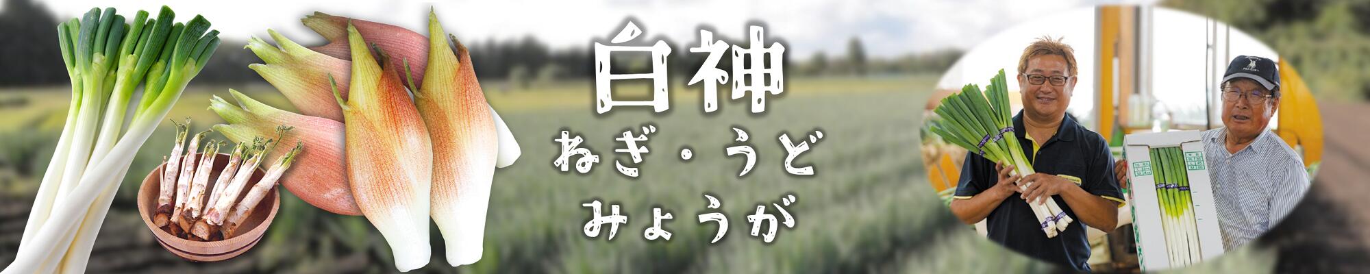 楽天市場】【ふるさと納税】【令和4年産新米】あきたこまち 玄米 10kg （5kg×2袋） 秋田県 能代産 美人を育てる 秋田米 : 秋田県能代市