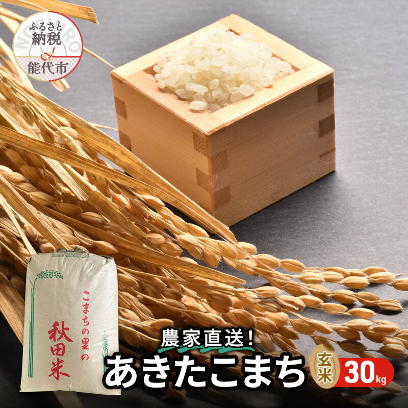 【ふるさと納税】秋田県産 あきたこまち 30kg 令和7年産 玄米 [ ご飯 ブランド米 おにぎり 本場 お米 産地直送 おこめ ごはん 秋田県 秋田 能代市 ] 　お届け：2026年9月中旬まで