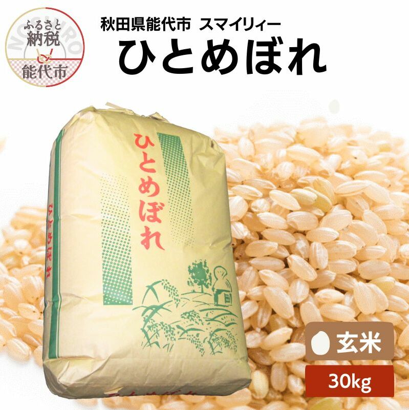 【ふるさと納税】【先行予約】 令和7年産 ひとめぼれ 玄米 30kg 秋田県産 お米 米 ごはん ご飯 単一原料米　お届け：2025年11月上旬頃より順次発送予定