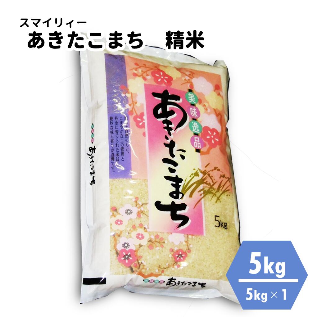 3000円 【代引不可】 ふるさと納税 能代市 令和4年産新米 先行受付