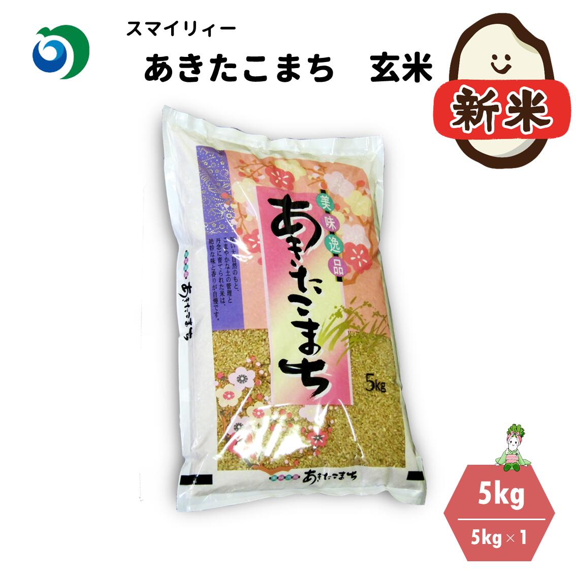 オーセンティック 新米 令和3年産 秋田こまち 玄米 30kg 米/穀物