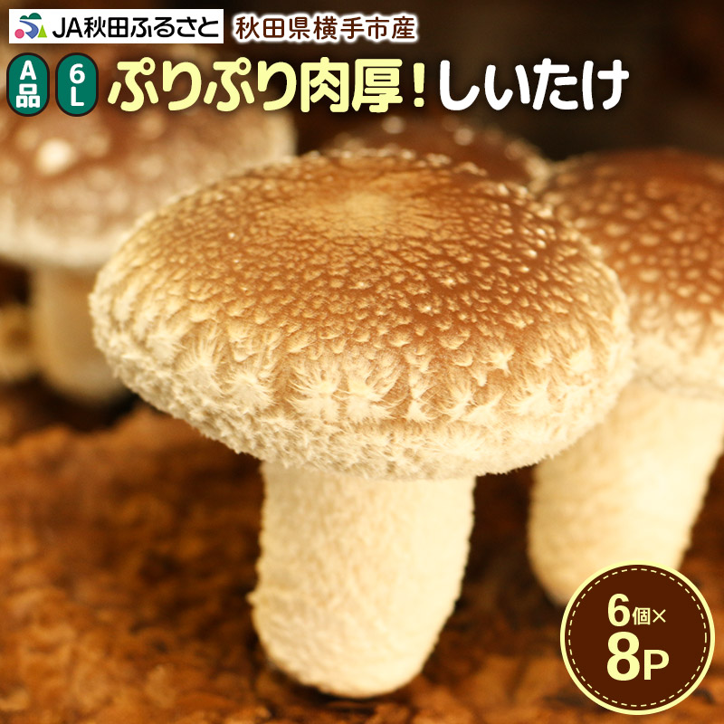 【ふるさと納税】しいたけ A級品 Lサイズ 約1.2kg(約150g(6個入)×8パック)