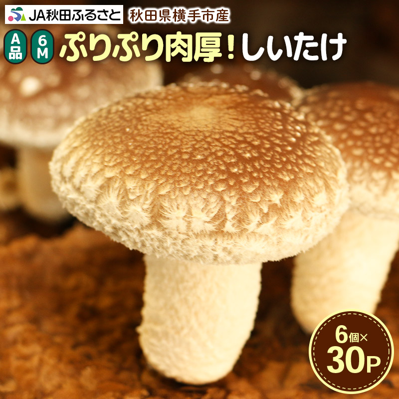 【ふるさと納税】しいたけ A品 6M（約100g）×30パック