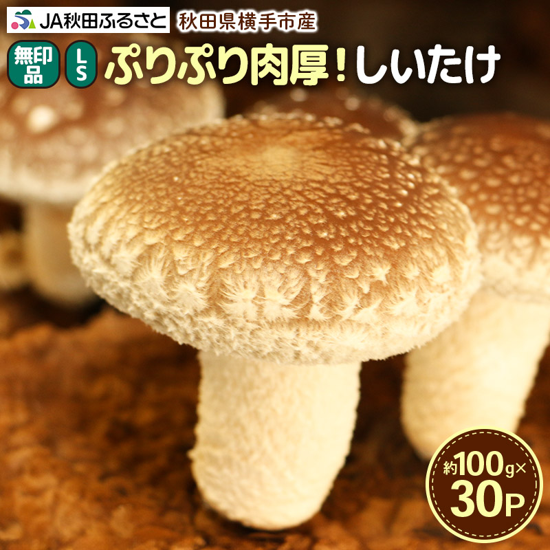 【ふるさと納税】しいたけ 無印品 LS（約100g）&times;30パック｜秋田県横手市