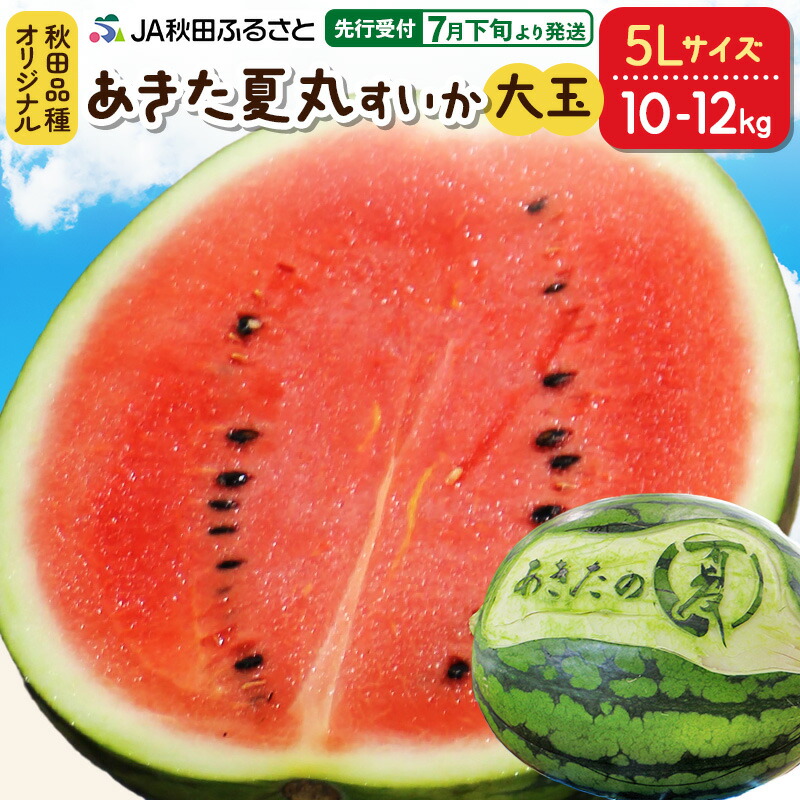 【ふるさと納税】【先行受付】7月下旬より発送 秋田県横手市産 あきた夏丸すいか 5Lサイズ×1玉（約10～12kg）化粧箱入り