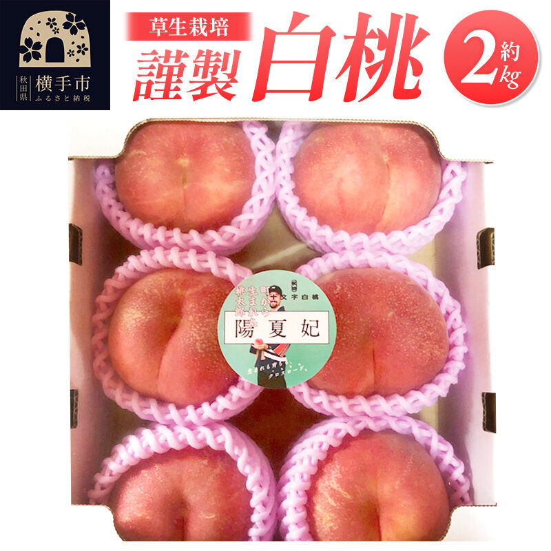 【ふるさと納税】《先行受付！8月中旬より順次発送》横手市十文字町 ほそかわ農園 謹製 白桃 （草生栽培） 約2kg [先行予約 ふるさと納税 桃 もも 秋田県横手市産 貴重]｜秋田県横手市