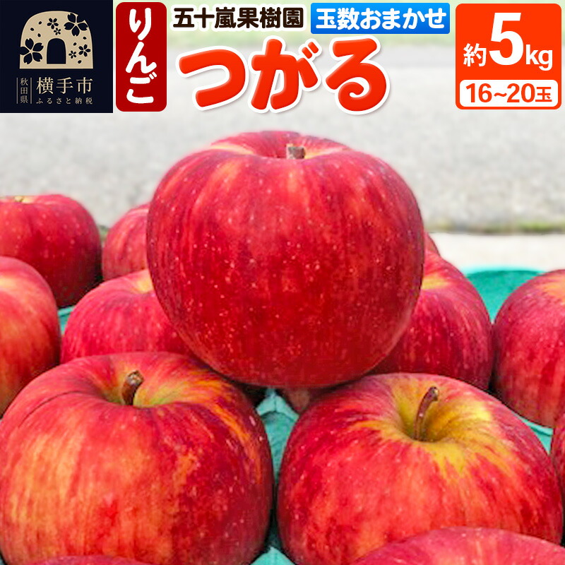 つがる りんご 約5kg 16〜20玉 玉数おまかせ 商舗