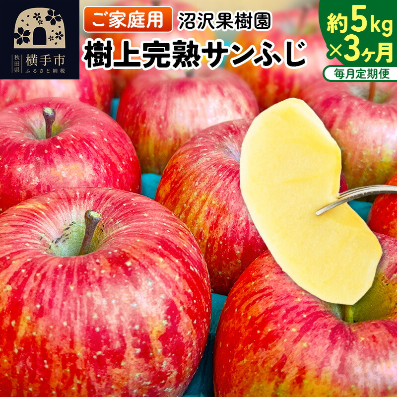 【ふるさと納税】《定期便3ヶ月》樹上完熟サンふじ ご家庭用 約5kg（13～23玉前後）×3回 計15kg 3か月 3ヵ月 3カ月 3ケ月