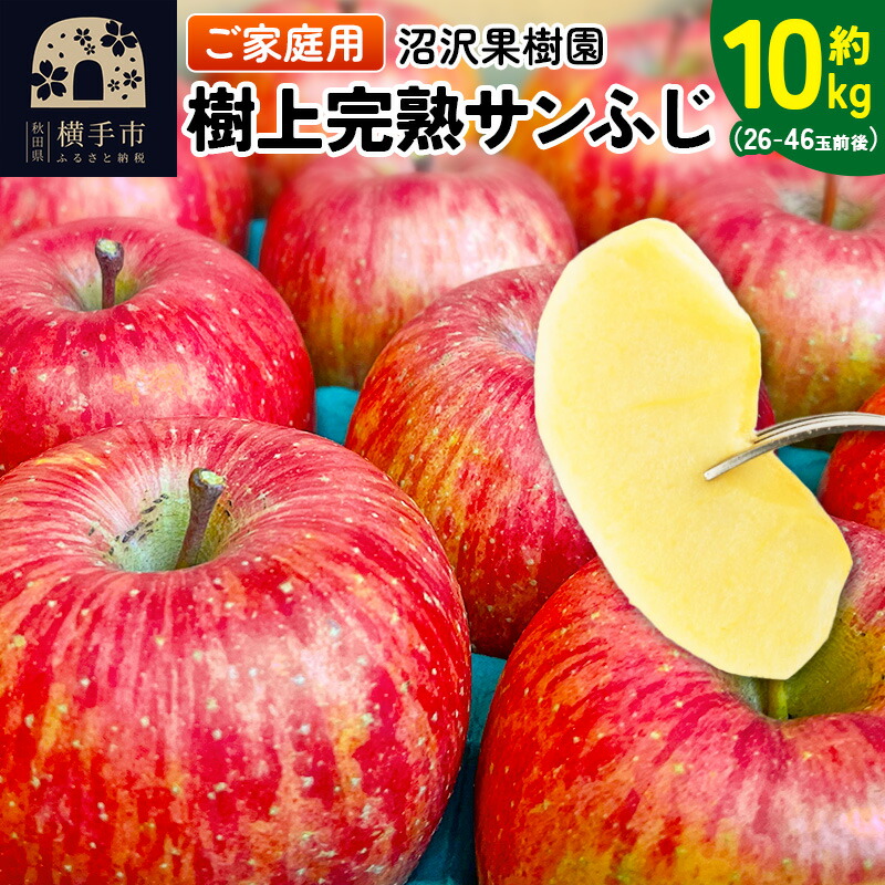 【ふるさと納税】樹上完熟サンふじ ご家庭用 約10kg（26～46玉前後）