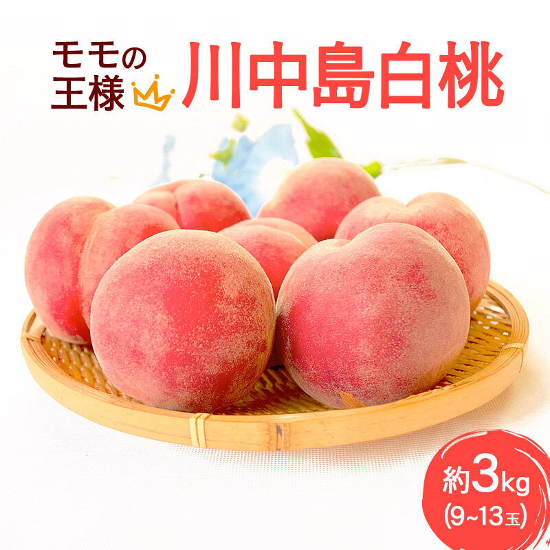 【ふるさと納税】《先行受付！8月中旬より順次発送》モモの王様 川中島白桃 約3kg（9～13玉前後） [先行予約 もも モモ 白桃 はくとう 果物 フルーツ 産地直送 お取り寄せ]｜秋田県横手市