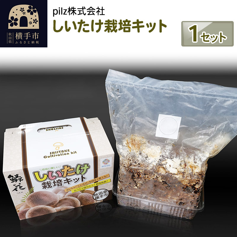 【ふるさと納税】ご自宅でブランド椎茸を栽培！しいたけ栽培キット