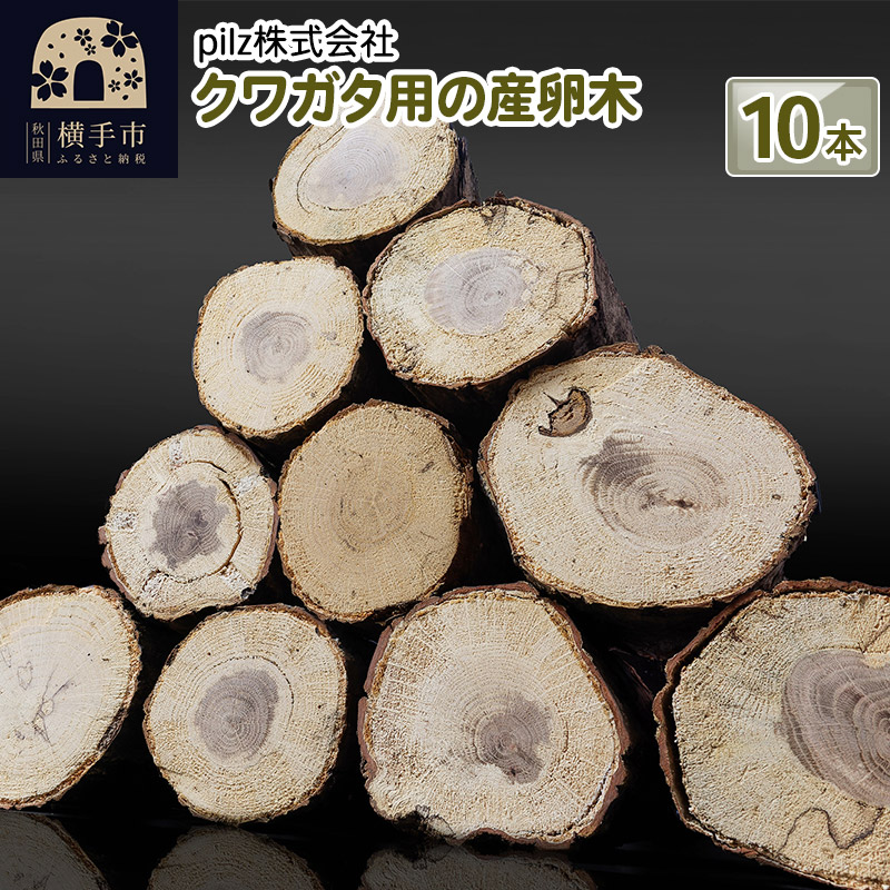 【再入荷！】クワガタ用の産卵木10本セット 秋田県横手市