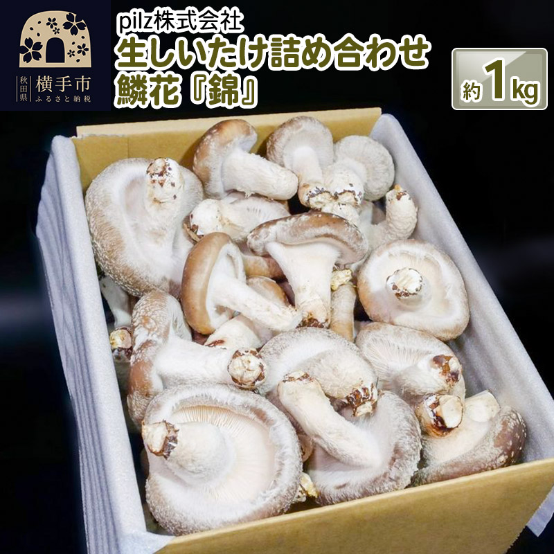 【ふるさと納税】鱗花 -錦-（生椎茸） 約1kg｜秋田県横手市