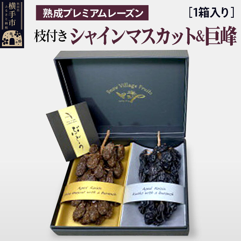 【ふるさと納税】熟成プレミアムレーズン 枝付きプレミアムセット シャインマスカット＆巨峰