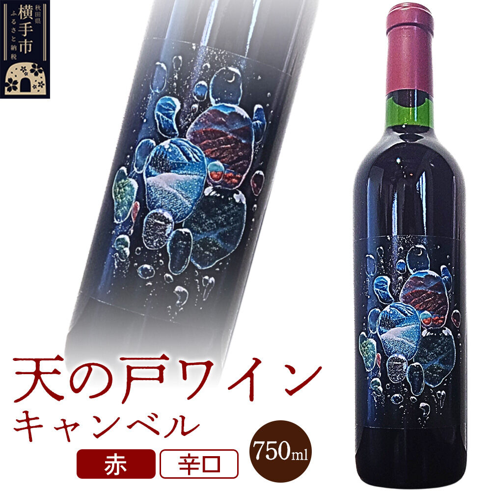 【ふるさと納税】天の戸ワイン(キャンベル）750ml [キャンベル ワイン 辛口 清酒酵母 フルボディ タンニン 低温熟成]