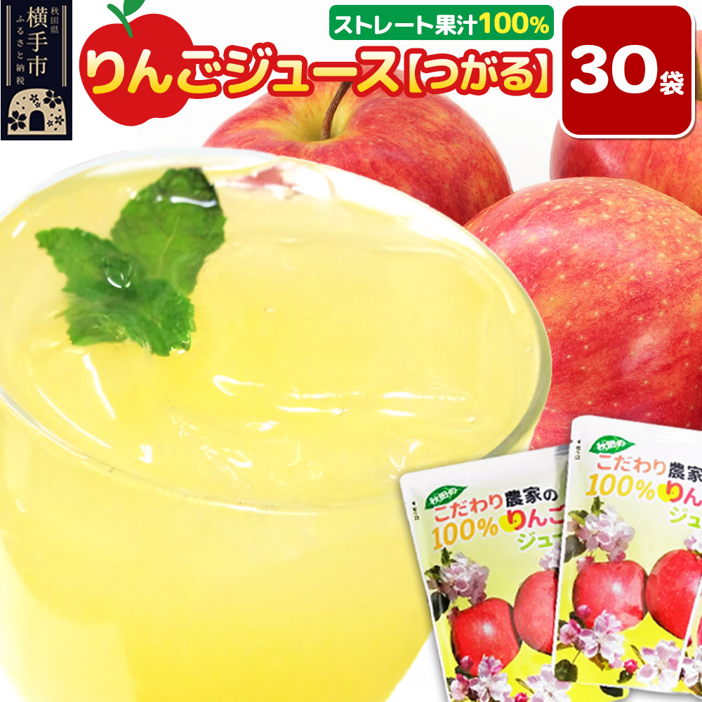 楽天市場】【ふるさと納税】りんごジュース おまかせパック 計20個