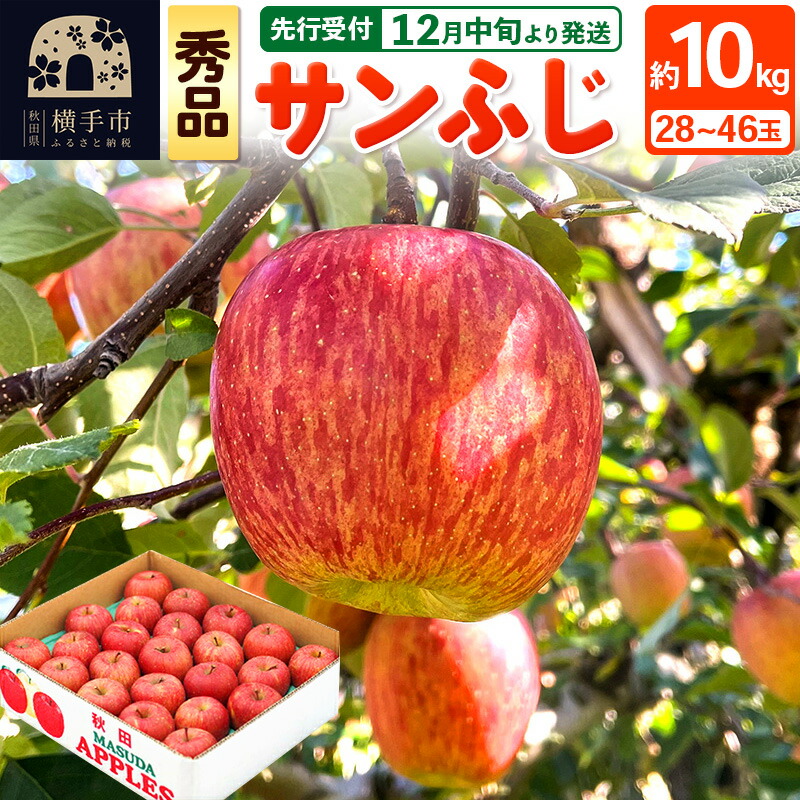 【ふるさと納税】【先行受付】12月中旬より発送 サンふじ 【秀品】約10kg （28～46玉）りんご 林檎
