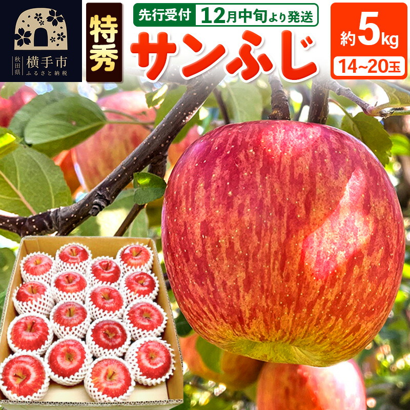 【ふるさと納税】【先行受付】12月中旬より発送 サンふじ 【特秀】 約5kg（14～20玉）りんご 林檎