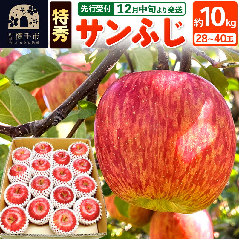 【ふるさと納税】【先行受付】12月中旬より発送 サンふじ 【特秀】 約10kg（28～40玉）りんご 林檎