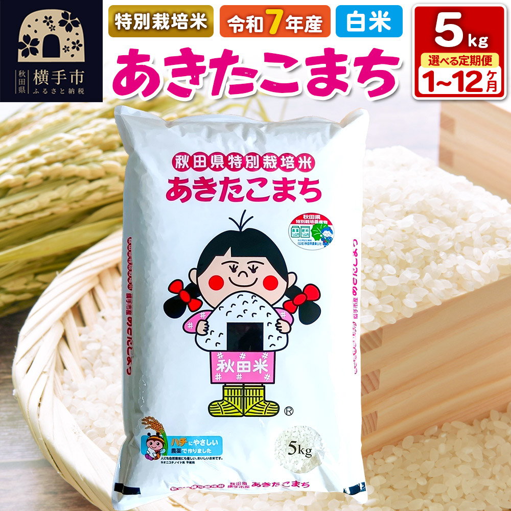 【ふるさと納税】令和7年産【白米】《選べるお届け回数》特別栽培米 あきたこまち 5kg 定期便 秋田県 横手市