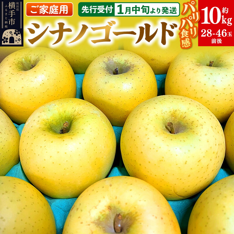 【ふるさと納税】【先行受付】1月中旬より発送 パリパリ食感シナノゴールド ご家庭用 約10kg（28～46玉前後）