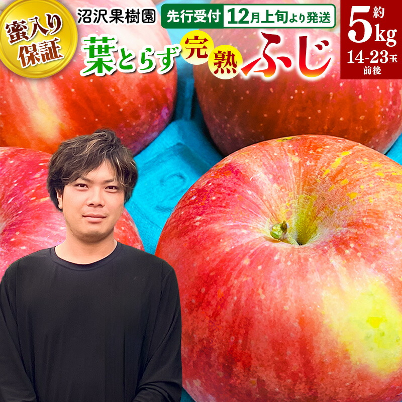 【ふるさと納税】【先行受付】12月上旬より発送 《蜜ライトで蜜入り保証！》葉とらず完熟ふじ 約5kg りんご