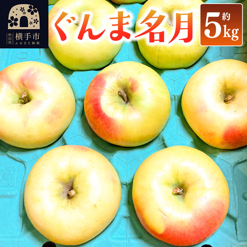 【ふるさと納税】【先行受付】11月上旬より発送 ぐんま名月 ご家庭用 約5kg りんご リンゴ 林檎 [先行予約 りんご 林檎 リンゴ 群馬名月 果物 フルーツ 横手産 秋田産 秋田県産]｜秋田県横手市