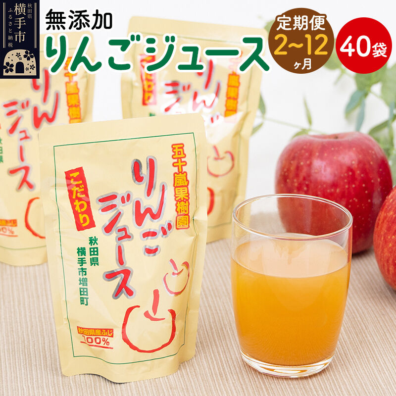 【ふるさと納税】《定期便2～12ヶ月》無添加りんごジュース（サンふじ）40パック リンゴジュース [秋田県 五十嵐果樹園 りんごジュース 無添加 りんご リンゴ 林檎 ストレート 無添加 果汁100%]｜秋田県横手市 57,200円
