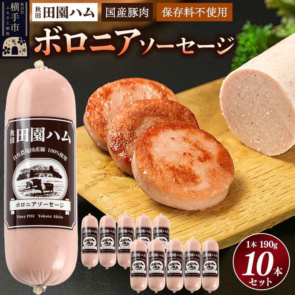エレガントハム 楽天市場】【ふるさと納税】田園ハム ボロニアソーセージ 190g×20本