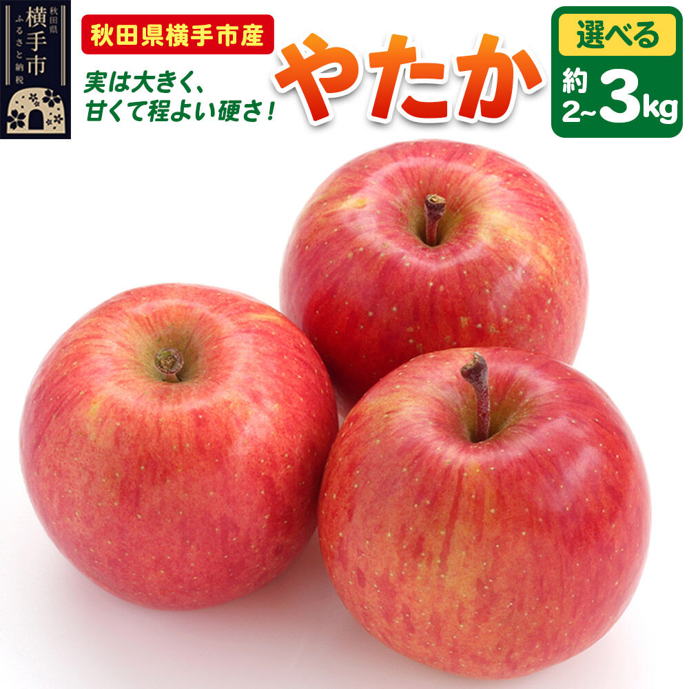 【ふるさと納税】【先行受付 9月下旬より発送】りんご やたか【選べる容量 約2kg／約3kg】 [先行予約 りんご やたか 林檎 アップル 赤 果実 果物 フルーツ 美味 おいしい]｜秋田県横手市