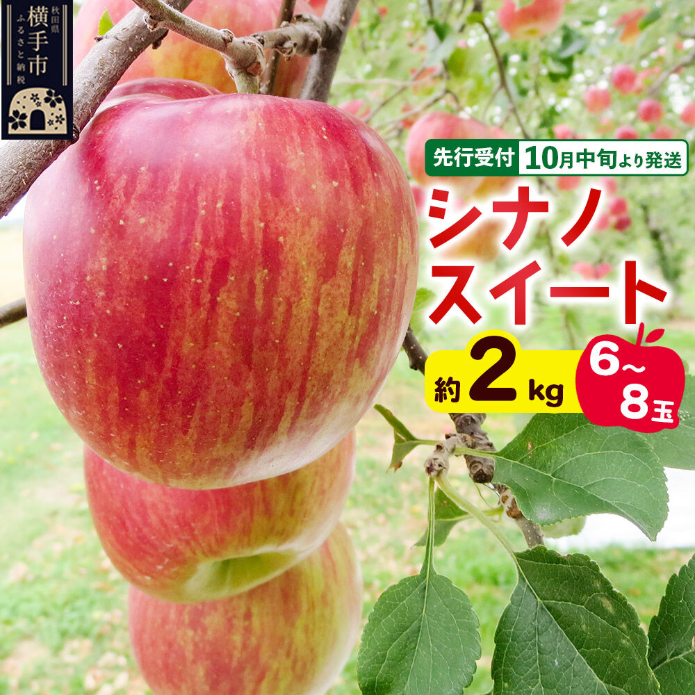 【ふるさと納税】【先行受付】10月中旬より発送 シナノスイート約2kg（6～8玉）りんご 秋田県横手市 [先行予約 秋田県 横手市 林檎 リンゴ 果物 フルーツ]｜秋田県横手市 7,200円