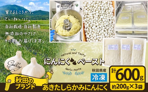 【ふるさと納税】【内容量が選べる!】あきたしらかみにんにく 冷凍ペースト 600g~2.5kg 【40P3220・60P3218・150P3202】 にんにく ニンニク 東北 秋田 大館 国産 薬味 スタミナ 野菜 秋田県 大館市 送料無料【(株)gella】|秋田県大館市