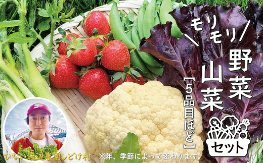 【ふるさと納税】モリモリ野菜・山菜セット（5品目ほど）【75P3205】【ひない渡辺農園しどけ村】｜秋田県大館市