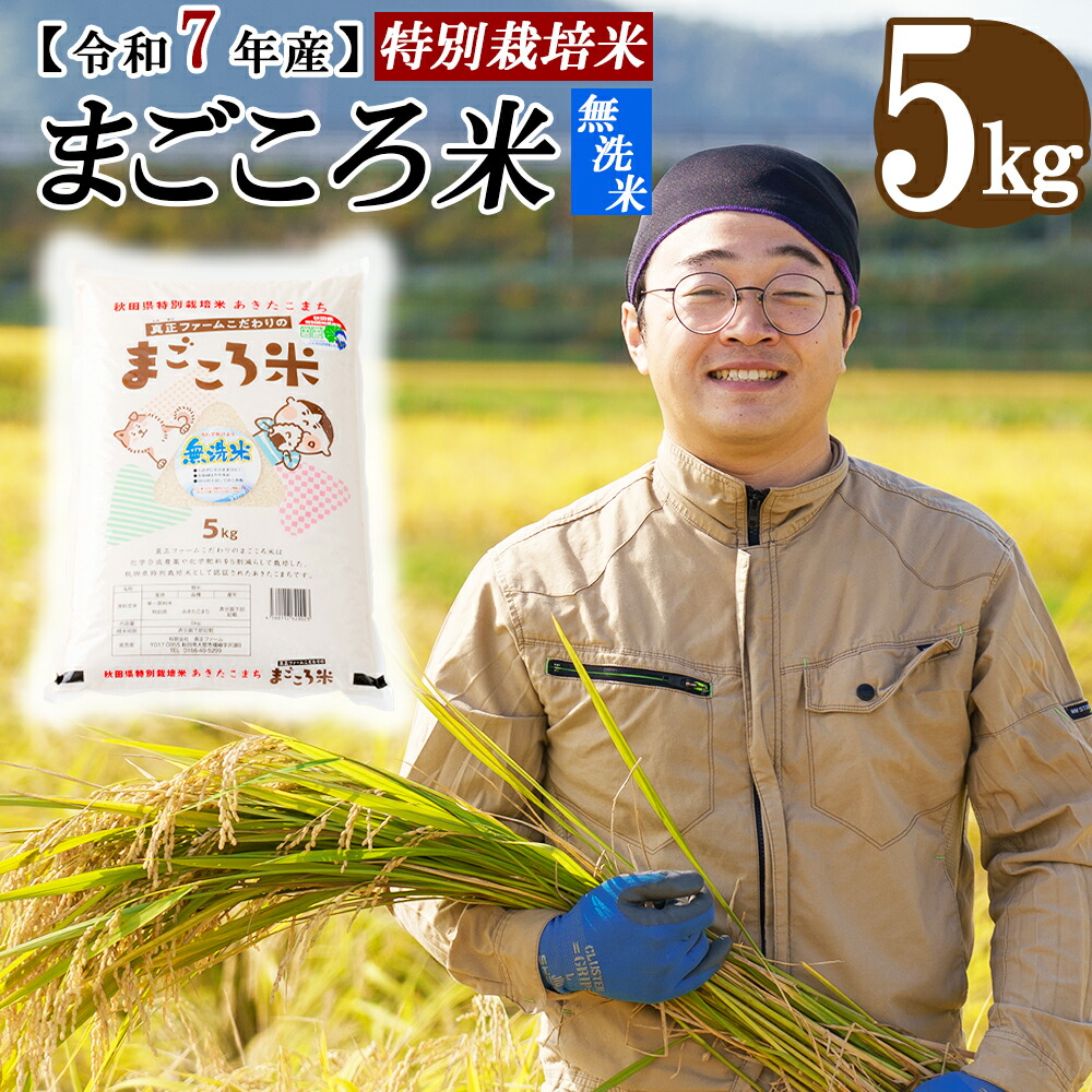 【大人気★年内完売予定】愛媛県産あきたこまち100%　新米２０Kg　農家直送 Gzm様専用】愛媛県産あきたこまち100% 新米20Kg農家直送